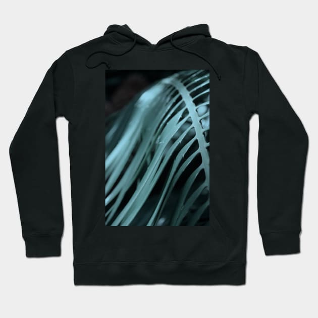 Palm Tree 01 Hoodie by froileinjuno